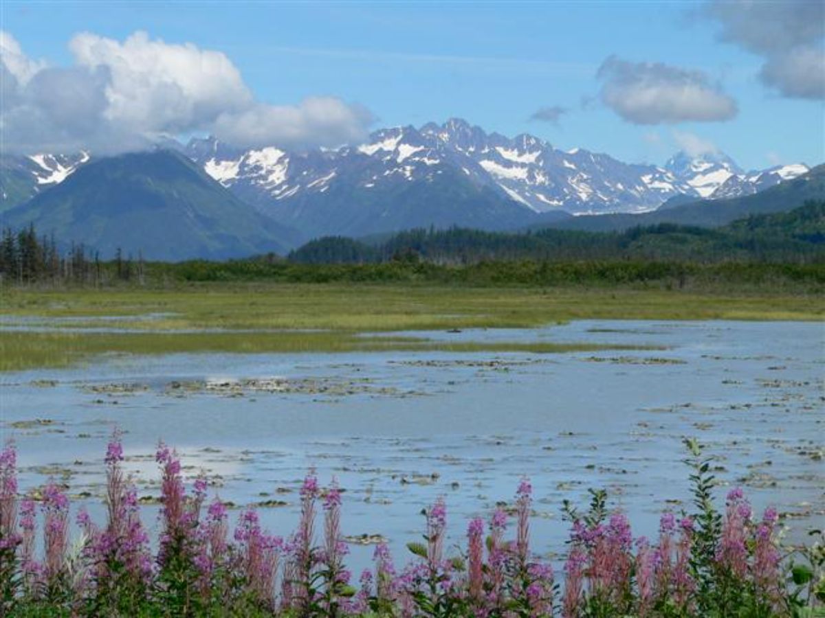 Eyak Lands
